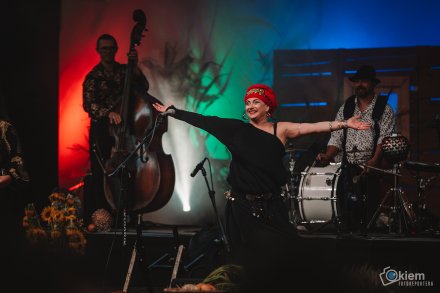 Dni Wisły: koncert zespołów Redlin i Dikanda